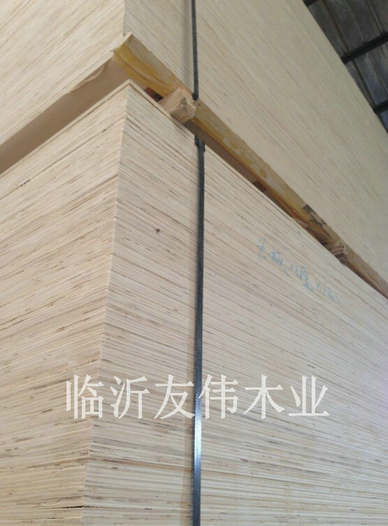 異形托盤板向和大麵積發展